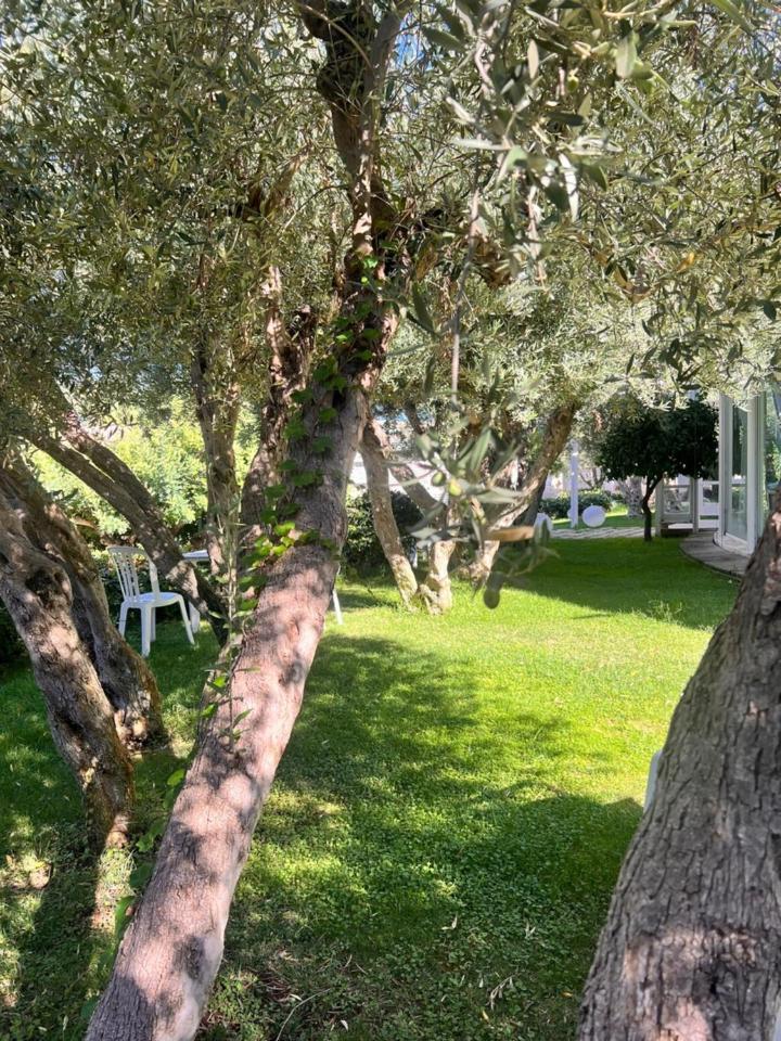 Villa Aurea Ispica Exterior foto
